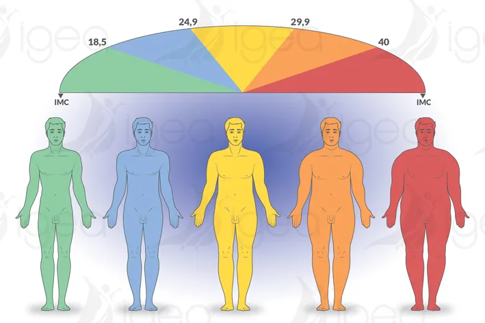 5-Blu-rgb IMC Indice de Masse Corporelle